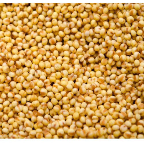 Foxtail millet - thinai