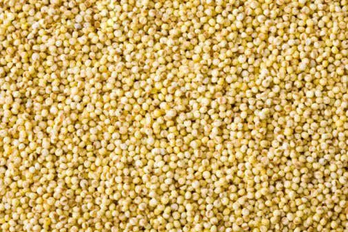 Kodo millet - Varagu