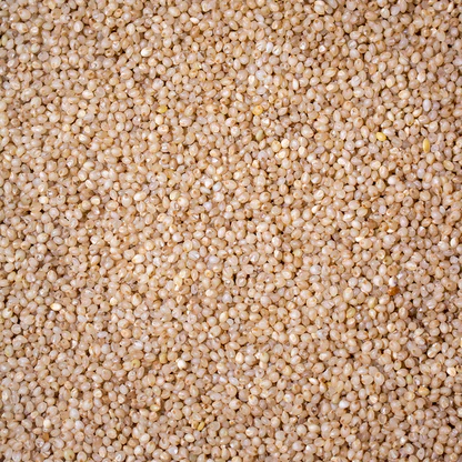 Little millet