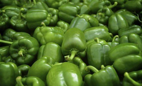 Green capsicum