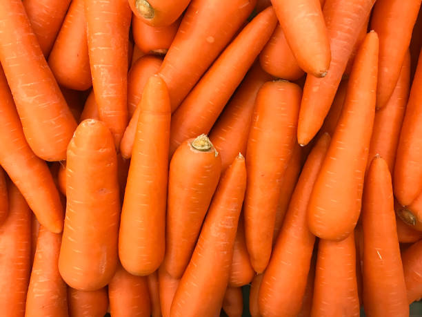 Carrot