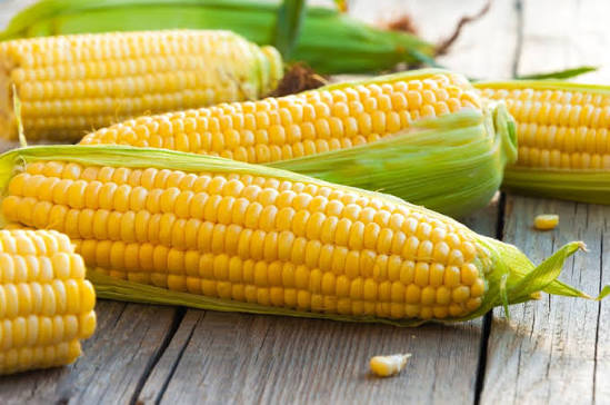Corn